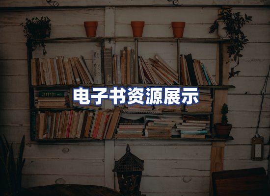电子书资源展示